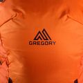 Gregory Targhee FT 24 rucsac de parașutism portocaliu 139431 4