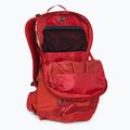 Rucsac turistic pentru bărbați Gregory Miko 20 l roșu 145275 4