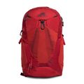 Rucsac turistic pentru bărbați Gregory Miko 25 l roșu 145276 5