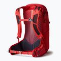 Rucsac turistic pentru bărbați Gregory Miko 30 l roșu 145277 7
