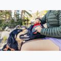 Rucsac turistic Gregory Nano 30 l bright navy 7