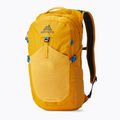 Rucsac de oraș Gregory Nano 20 l hornet yellow