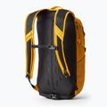 Rucsac de oraș Gregory Nano 20 l hornet yellow 2