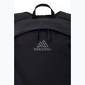 Rucsac de turism Gregory Aerolite 25 l black 4