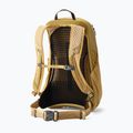 Rucsac turistic Gregory Arrio 20 RC amber haze 2