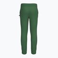 Pantaloni pentru copii LEGO Lwpeiter 101 verde închis 2
