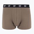 Boxeri pentru bărbați CR7 Basic Trunk 5 perechi 2414 multicolur 3