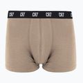 Boxeri pentru bărbați CR7 Basic Trunk 5 perechi 2414 multicolur 5