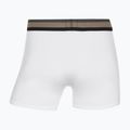 Boxeri pentru bărbați CR7 Fashion Trunk 5 pairs multicolour 10