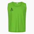Etichetă Select Basic Verde 684100144444