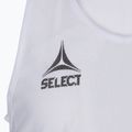 Etichetă Select Basic Albă 3