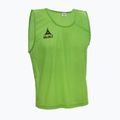 Etichetă Select Basic Verde 6841002444 4