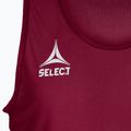 Etichetă Select Basic Maron 6841002997 3
