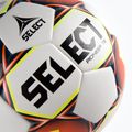 Selectați Pionieer TB IMS alb/roșu 111084 3