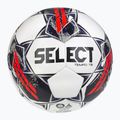 SELECT Tempo TB FIFA TB FIFA Basic v23 alb/gri mărimea 4 de fotbal