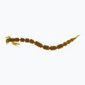 Westin BloodTeez Worm Teez Worm Teez momeală de cauciuc 8 buc motoroil aur P001-309-006