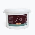 Overhorse Kaoglin Calul Kaoglin Cal de răcire Clay 2