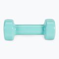 Haltere Meteor 2 x 2 kg mentă 30184 4
