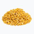 Carp Target Scopex 0008 porumb de pescuit 2