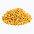 Carp Target Wild Rose Wild Rose Fishing Corn 0009 2