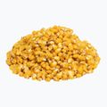 Carp Target Vanilla porumb de pescuit 0056 2