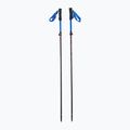 Viking Kettera Pro 15 bețe de trekking negru 610/22/7712/15