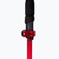 Bețe de schi Viking Spider black/red 5