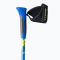 Viking Nordic Walking Sticks Ruten Pro 15 albastru/negru 650/22/5190/15 2