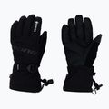 Mănuși de schi pentru bărbați Viking Hudson GTX Ski, negru, 160228282 09