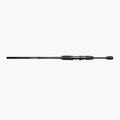 Undiță de spinning DRAGON Fishing Express Spinn 25