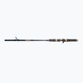 Undiță de spinning DRAGON Fishing G.P.Concept Jerk 80H 2