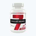 Shilajit Mumio 400mg 7Nutrition sistem imunitar 120 capsule 7Nu000456