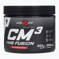 Creatină Trec CM3 HMB Fusion 200 de capsule TRE/1050