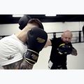 Mănuși de box StormCloud Boxing Pro black/gold 12