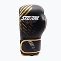 Mănuși de box StormCloud Lynx black/gold 2