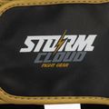 Cască de box StormCloud Lynx black/gold 5