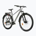 Bicicletă de munte KROSS Hexagon 4.0 EQ 29" silver/green/gloss 2