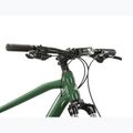 Bicicletă de munte KROSS Hexagon 4.0 EQ 29" green/silver/gloss 4