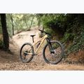 Bicicletă de munte pentru femei KROSS Level 6.0 beige/brown/gloss 13