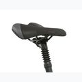 Bicicletă de oraș pentru femei KROSS Move 2.0 In graphite/silver/gloss 11