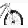 Bicicletă de munte pentru femei KROSS Lea 1.0 silver/white/gloss 5