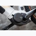 Bicicletă electrică pentru femei KROSS Influx Hyb 1.0 720Wh grey/gold/gloss 17