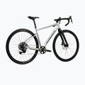 Bicicletă gravel KROSS Esker 1.0 grey/graphite/matte 3