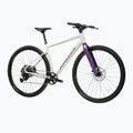 Bicicletă gravel KROSS Esker 1.0 FL grey/purple/gloss 2