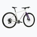 Bicicletă gravel KROSS Esker 1.0 FL grey/purple/gloss 3