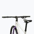 Bicicletă gravel KROSS Esker 1.0 FL grey/purple/gloss 4