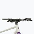 Bicicletă gravel KROSS Esker 1.0 FL grey/purple/gloss 5