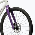 Bicicletă gravel KROSS Esker 1.0 FL grey/purple/gloss 6