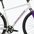 Bicicletă gravel KROSS Esker 1.0 FL grey/purple/gloss 11