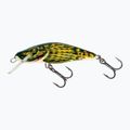 Salmo Bullhead S bullhead QBD003